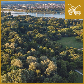 TERMÉSZET KÖZELSÉGE